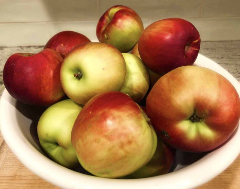 apples ready for chutney
