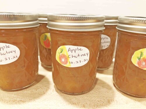 Apple Chutney in labelled bottles